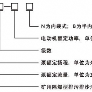 11kW礦用隔爆型排污排沙潛水電泵