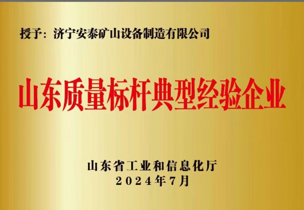 山東質(zhì)量標(biāo)桿典型經(jīng)驗企業(yè)